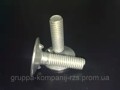 Болт норійний