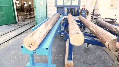 Естакада для подачі колод — фото 6