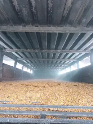 Стельова універсальна зерносушарка — фото 7